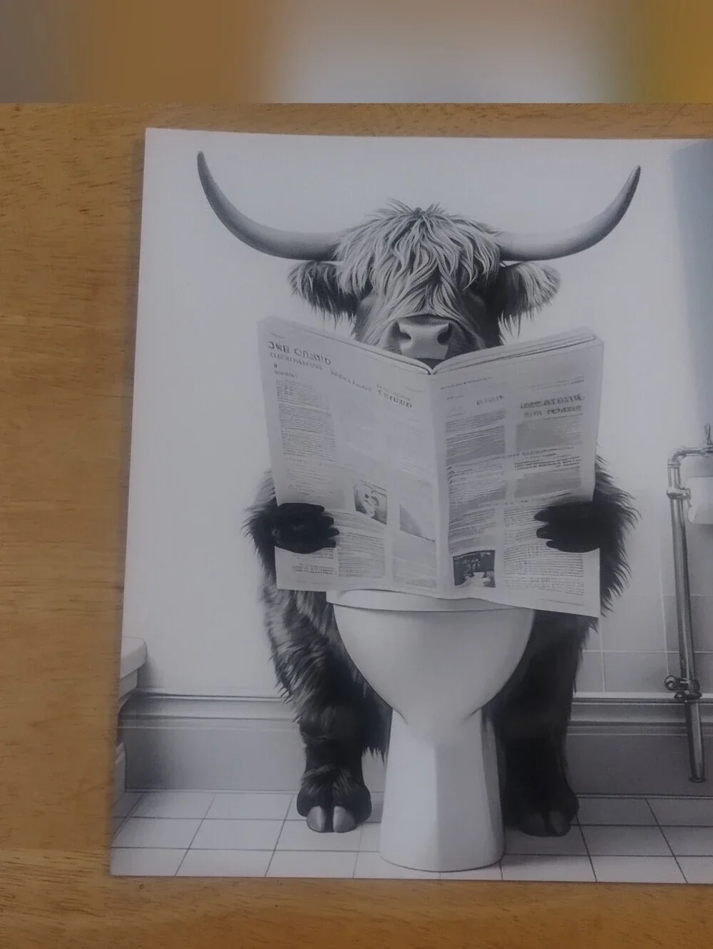 Funny Highland Cow Toilet Wall Art Print Farmhouse Bathroom Decor 8x10